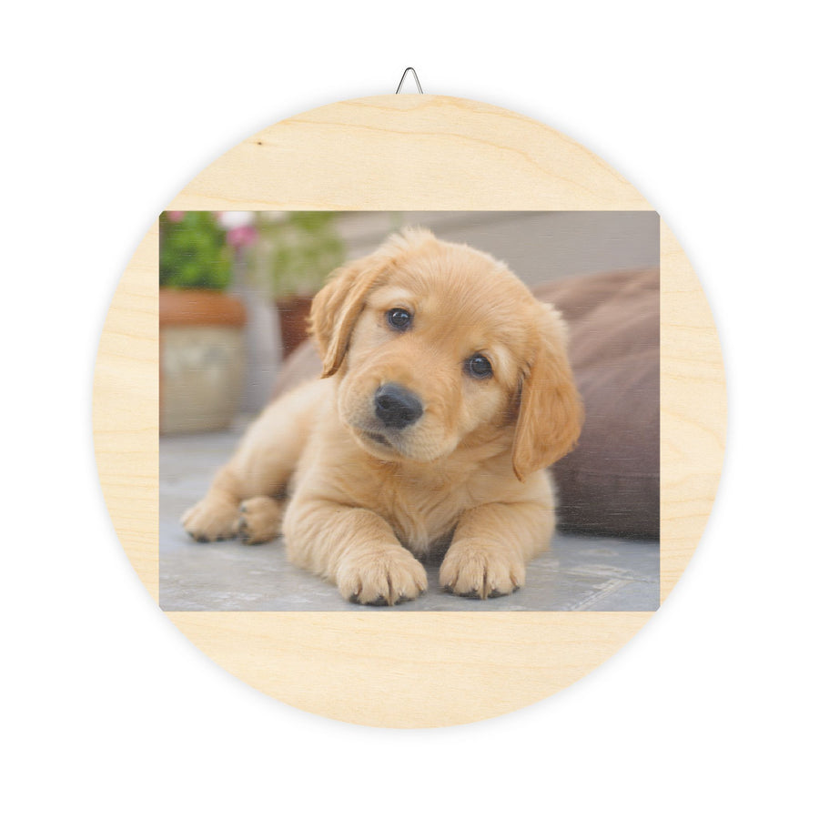 Cute Pet Wall Decor